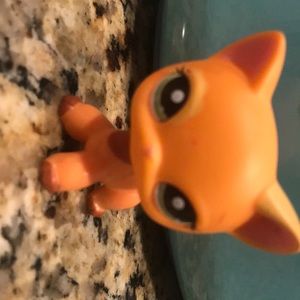 LPs shorthair cat #1643